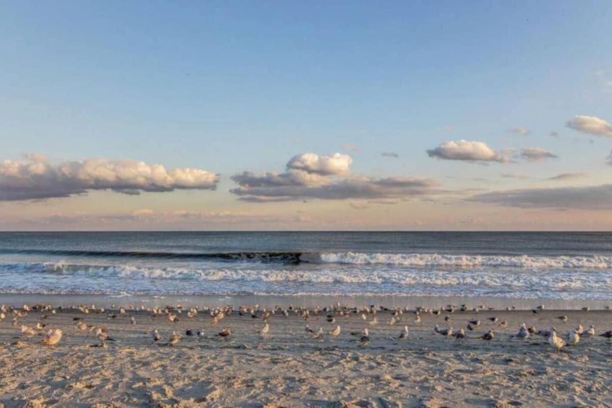 *Delightful Beach Condo*Pool, Steps To The Sand*H33 미를 비치 외부 사진